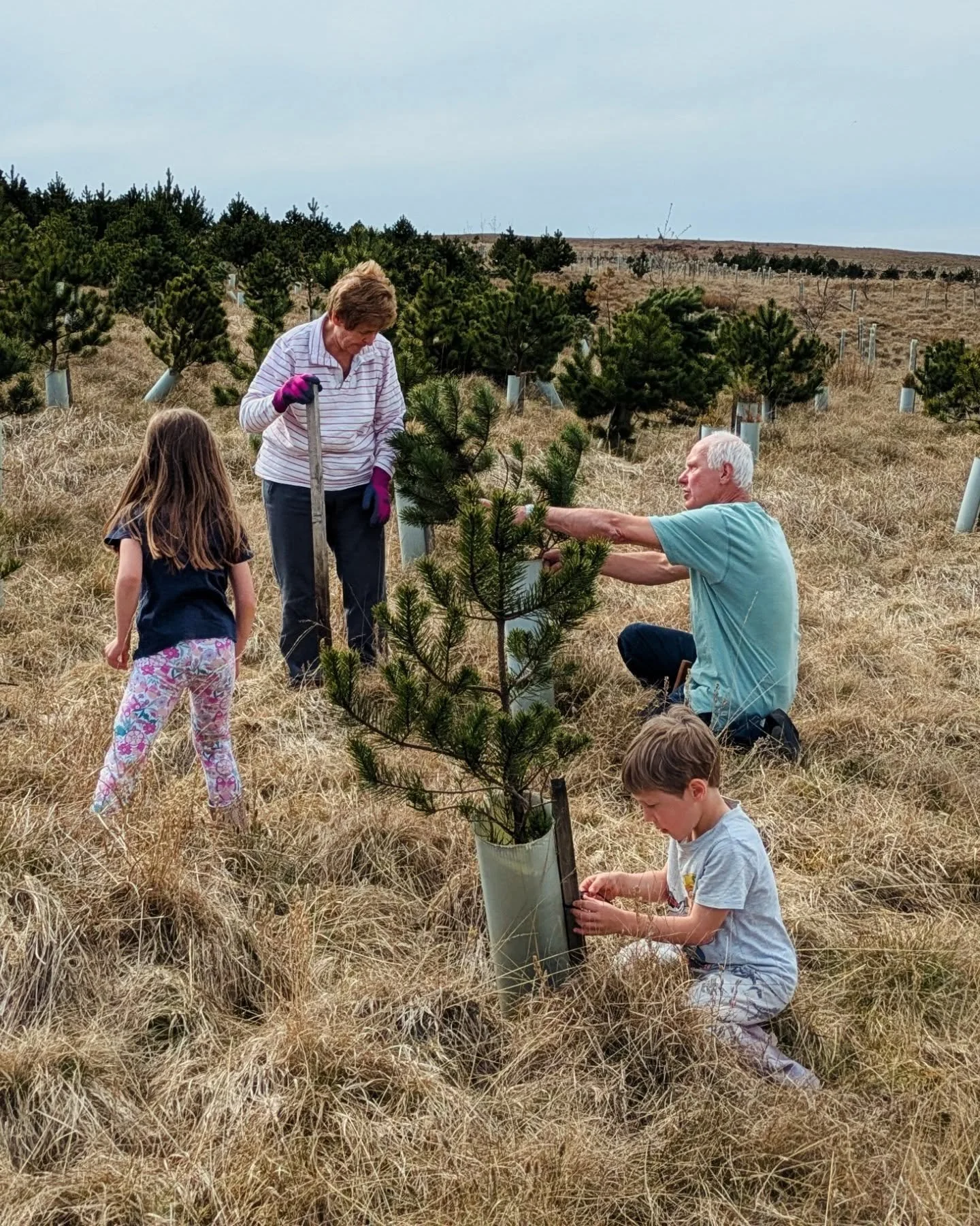 The family that plants trees together stays together 💚

If you'd like to get involved in nature restoration at Nethergill drop us line 🌳
