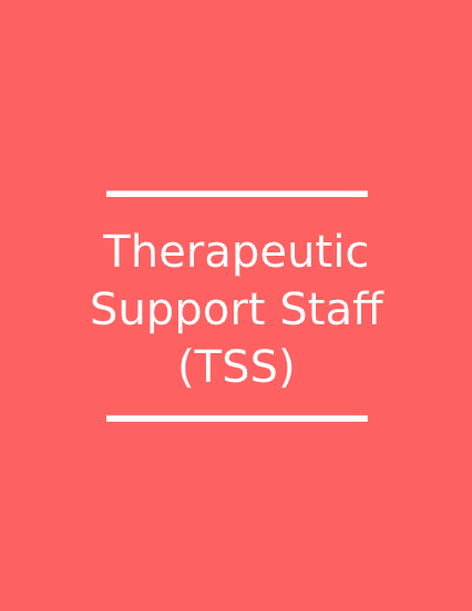 Therapeutic Support Staff&nbsp;Services are intended to address the individualized needs of a child or youth with complex behavioral health needs that is at risk of entering a residential level of care or who is being discharged from residential treatment or a more acute level of care.