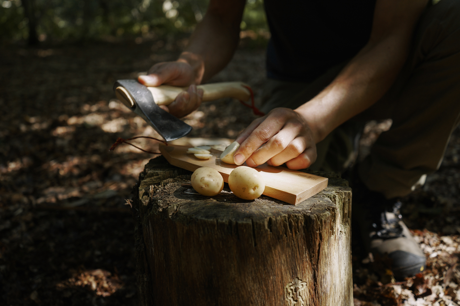 hikers_hatchet_4.jpg