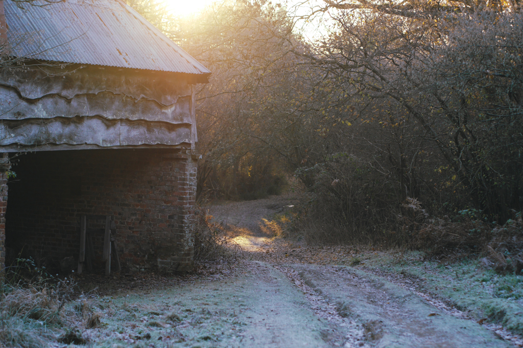   A beautiful cold and frosty start to the day.  