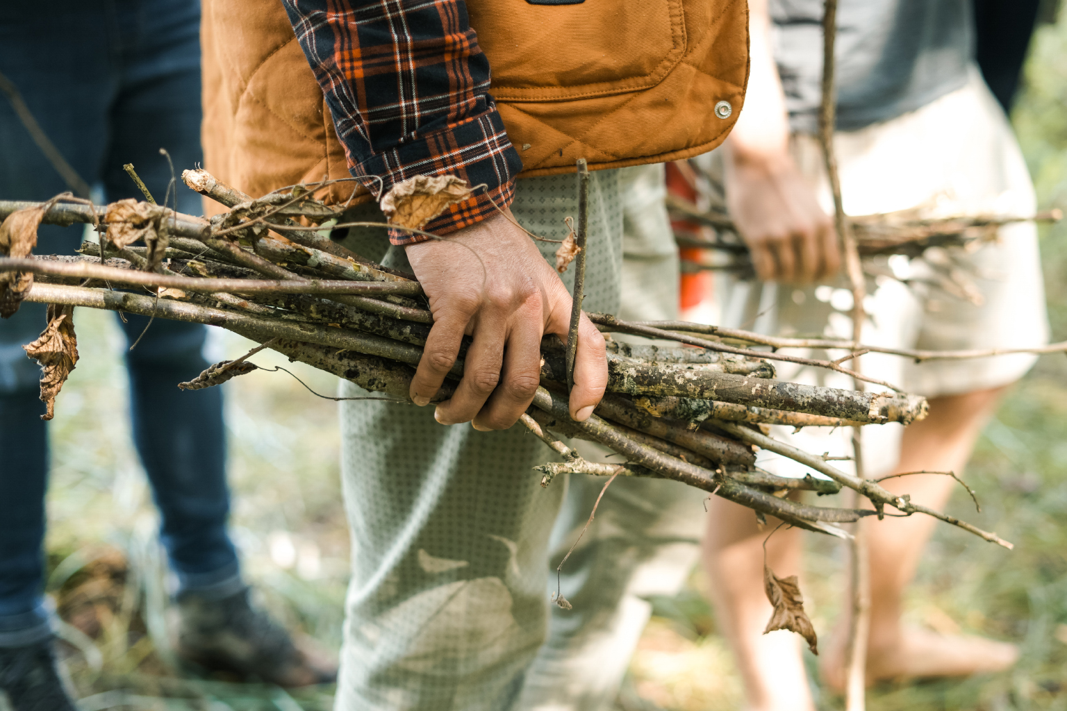  Collected dry wood for starting a campfire. 