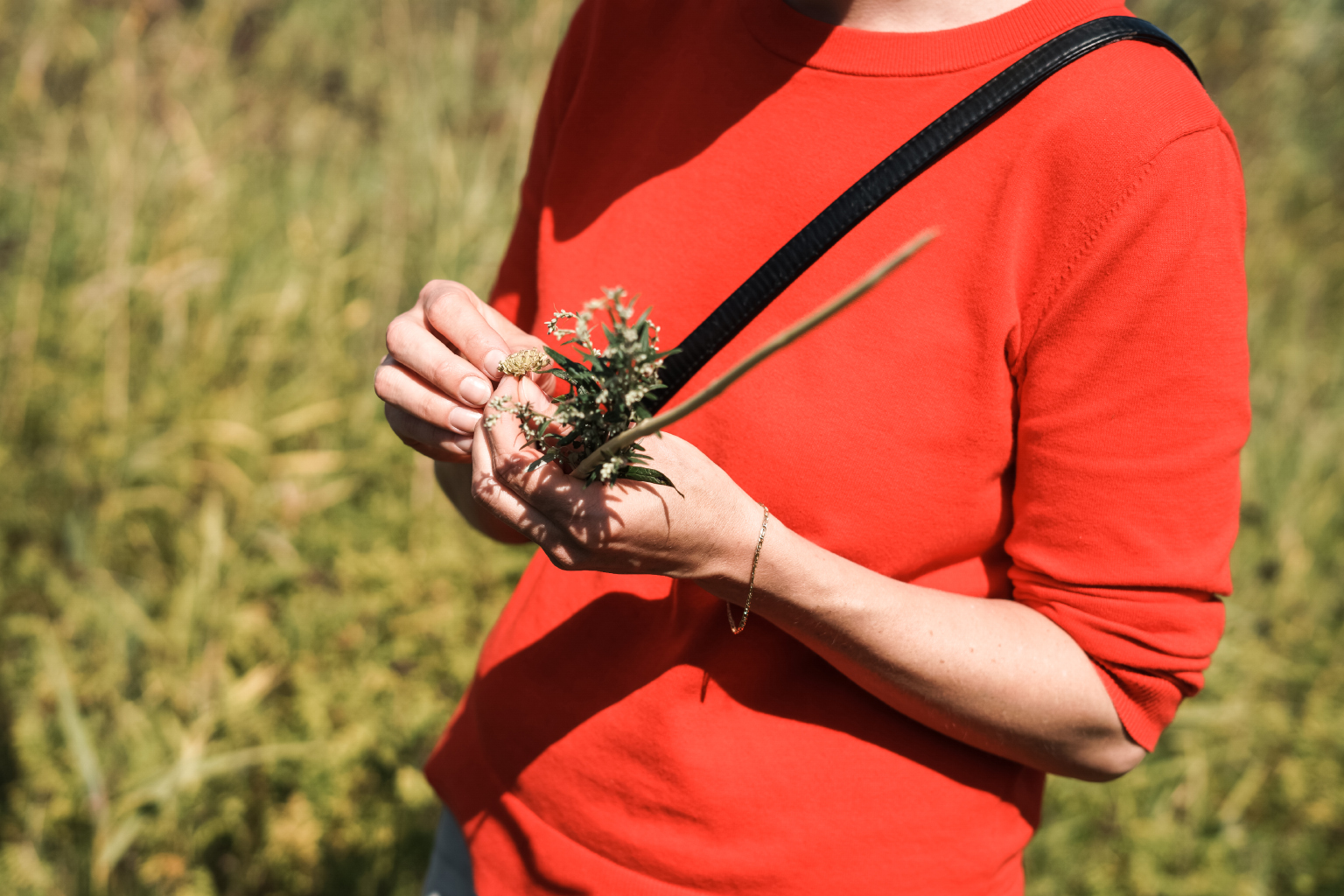  Maidie with some wild ingredients found on our walk. 