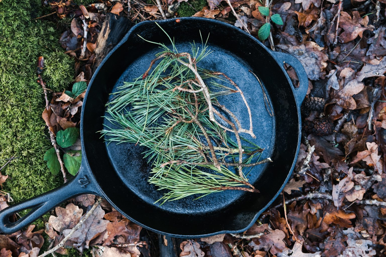 Christmas_Hot_Toddy_Lo_10.jpg