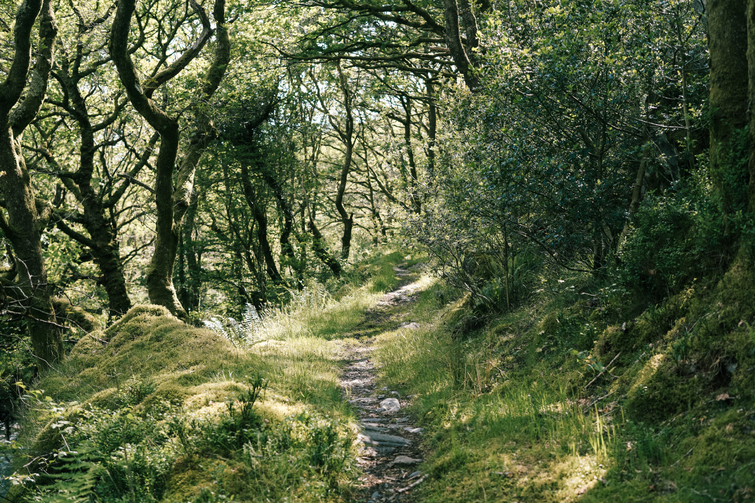  The start of our circular hike from Nook Snowdonia 