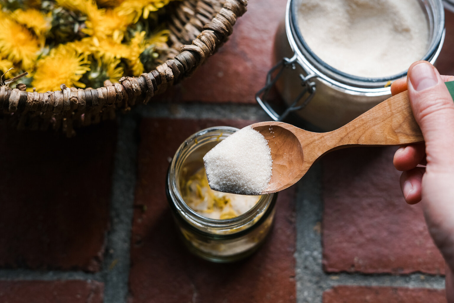 Dandelion Syrup a Taste of Spring — Miscellaneous Adventures