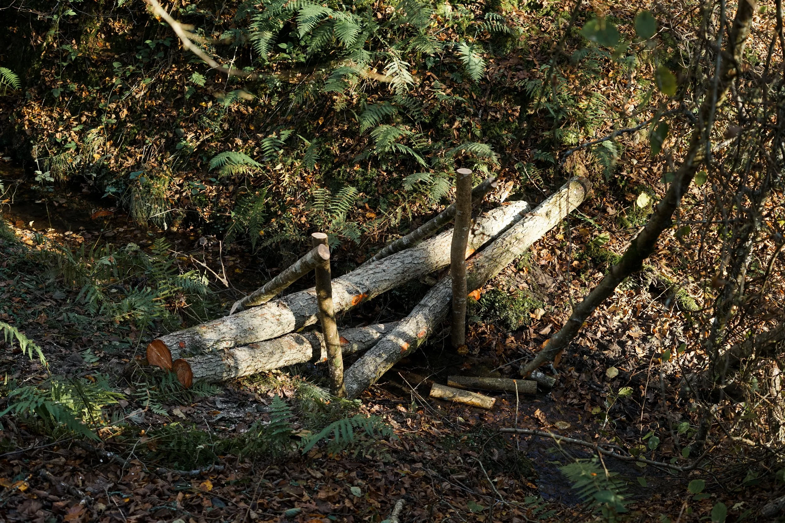 Making leaky dams - Video