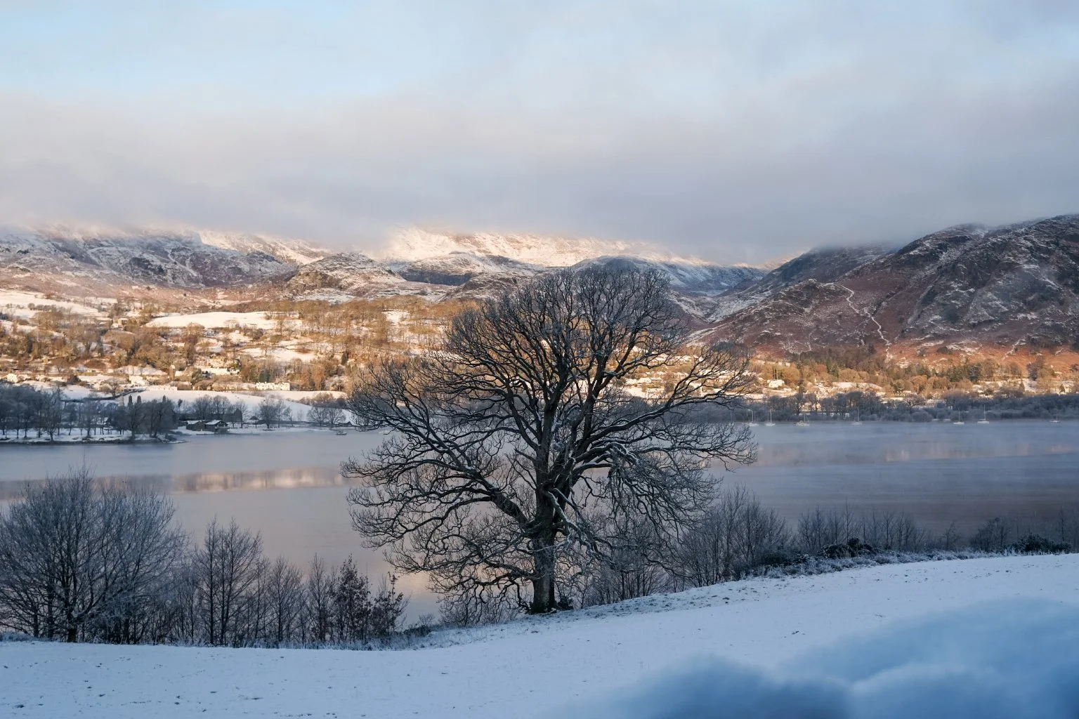 Follow our adventures on Substack!