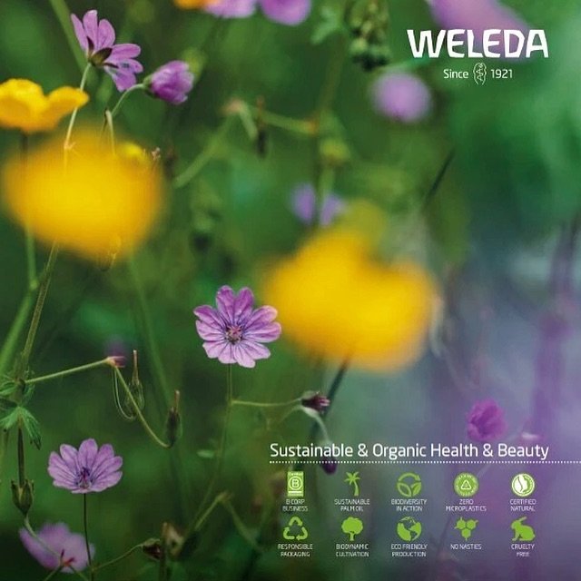 New Weleda brochures have arrived 💚 

If you would like one or if you are interested in finding out more about their products, please feel free to ask.