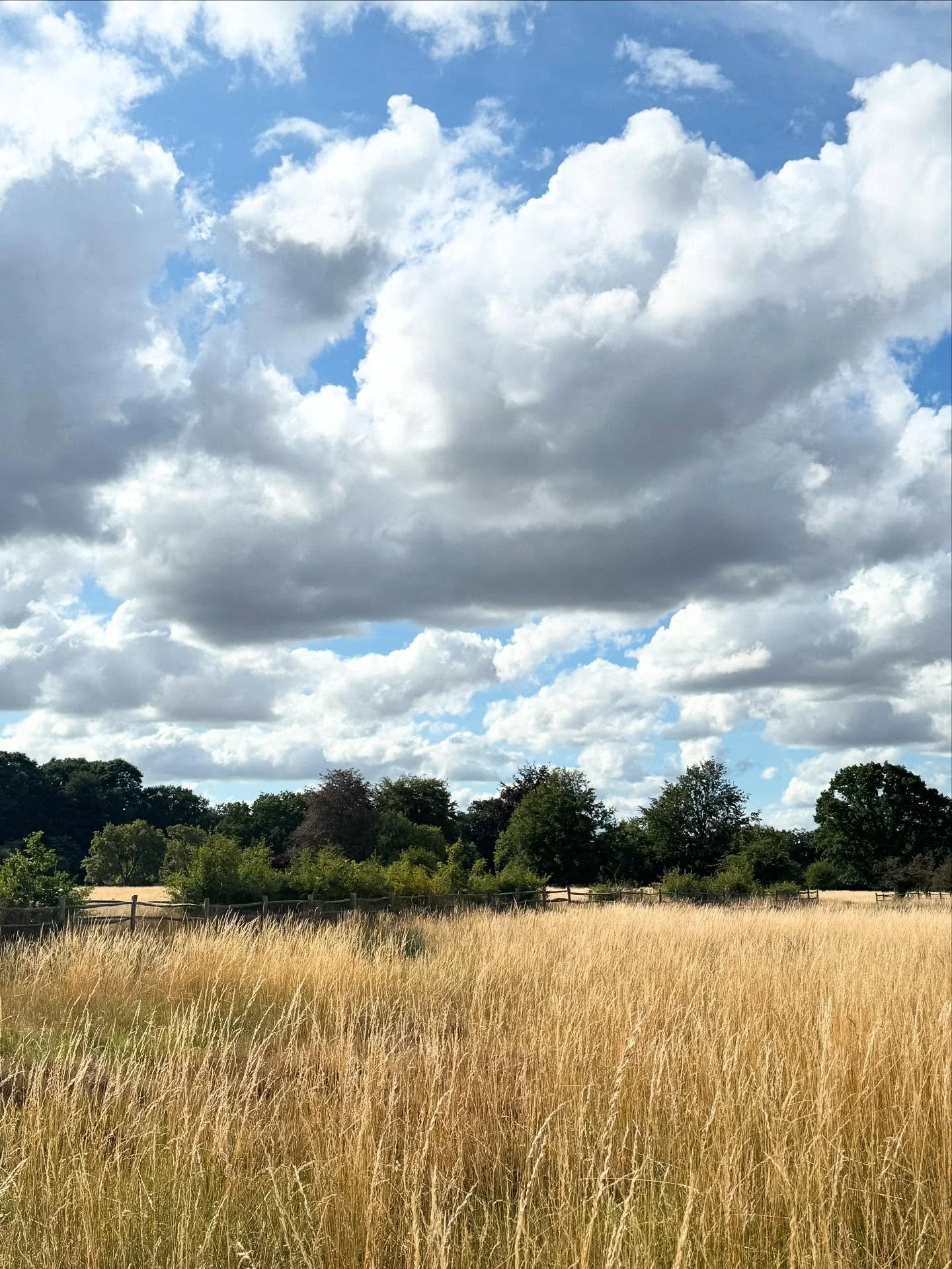 🌾 ⛅️🌾 ⛅️