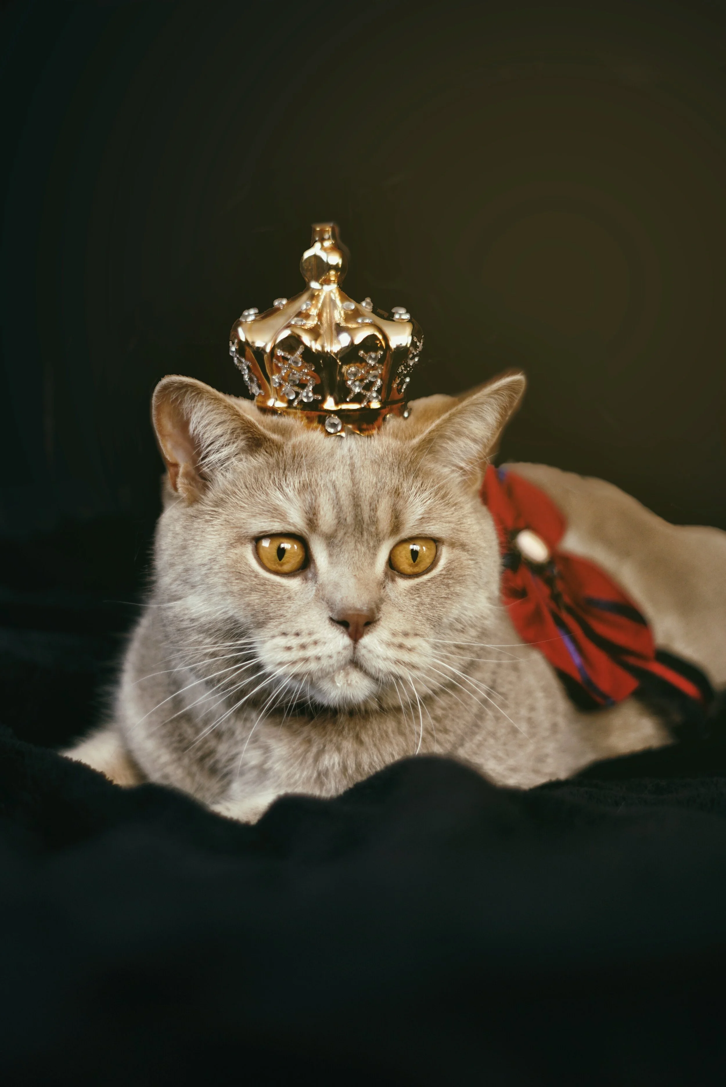 Copycat Culture