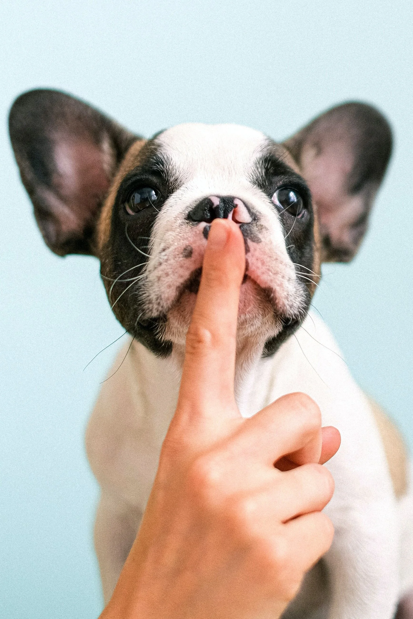 Silence is golden…
