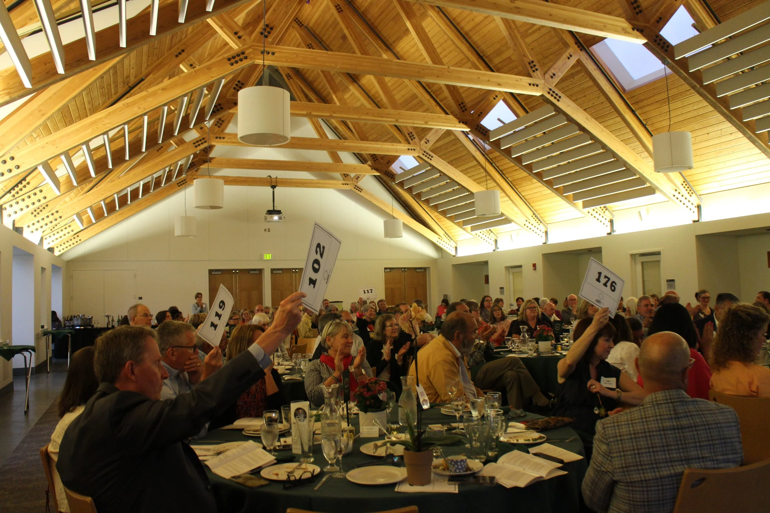 ARK Auction 25 #7(1).JPG