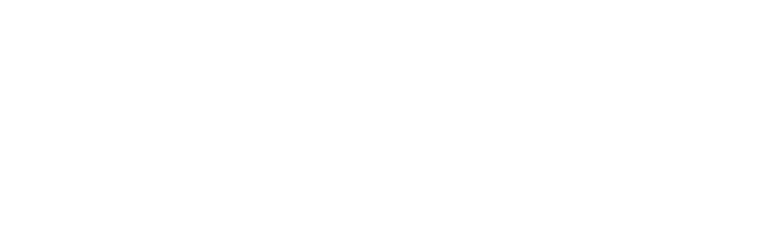 Logo_DWV_CMYK_weiß_Tonwertkorrektur.png