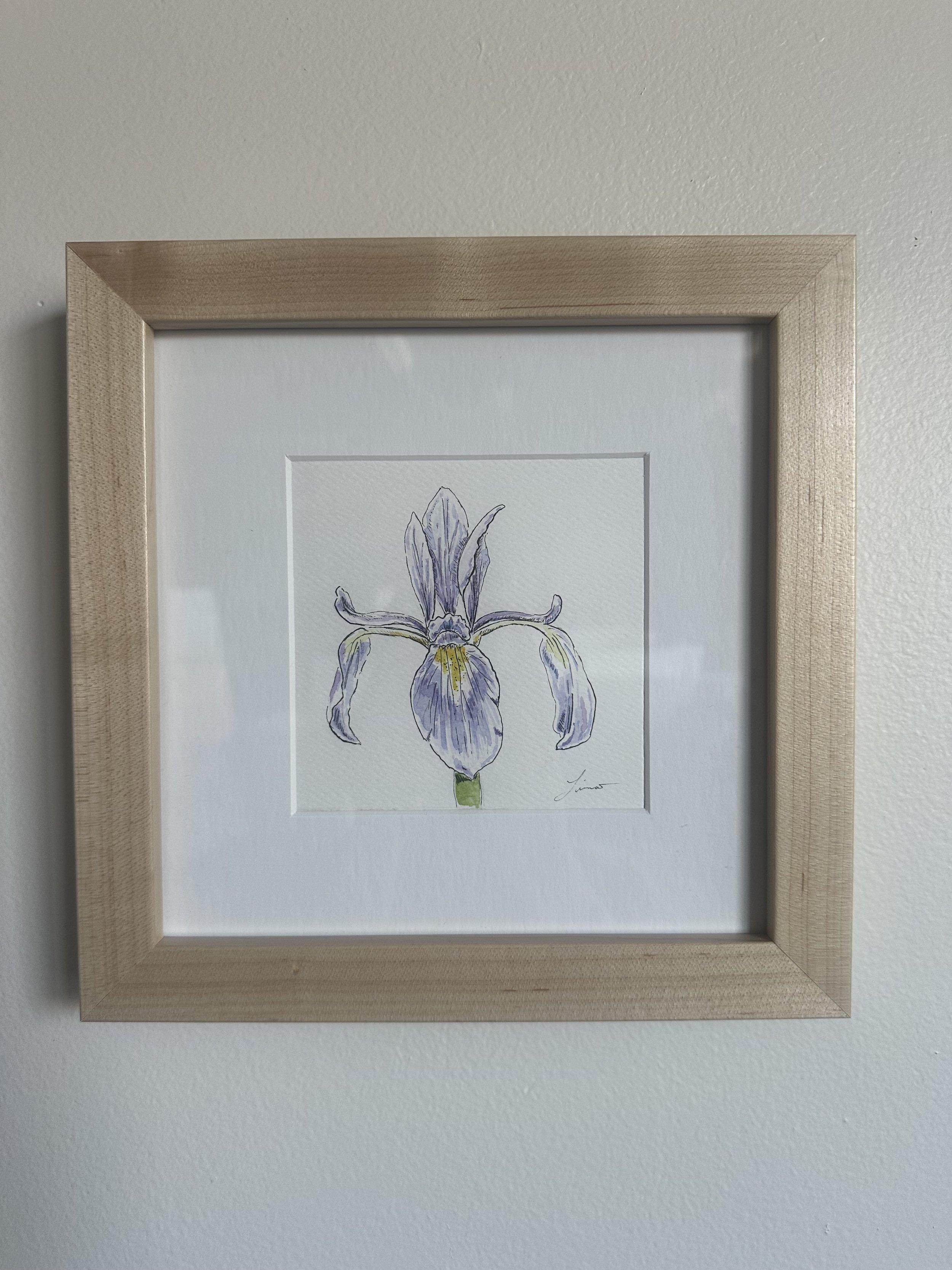 Iris No. 2
