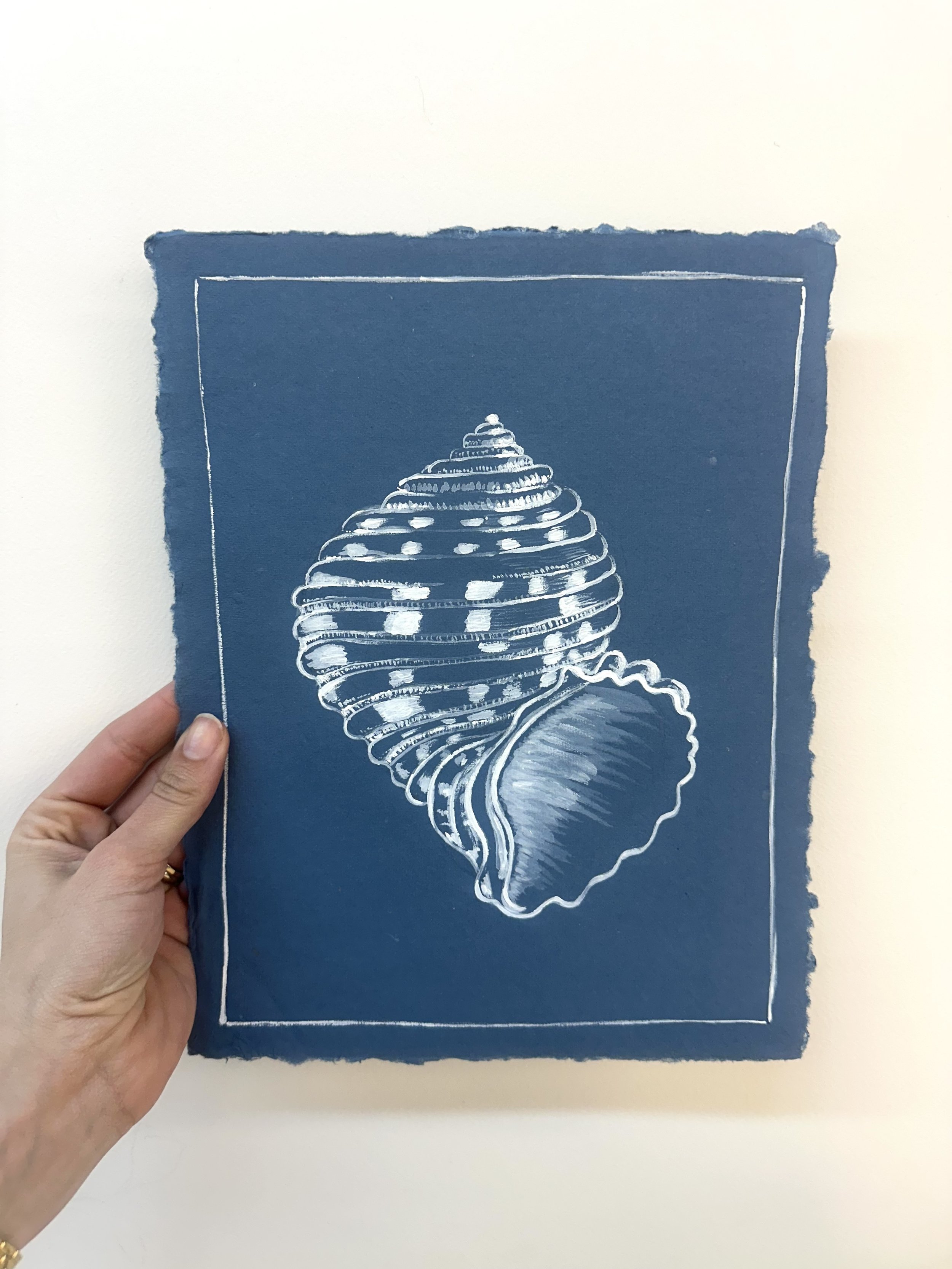 Shell on Blue No. 3