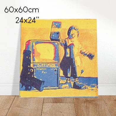 america canvas big ter.jpg