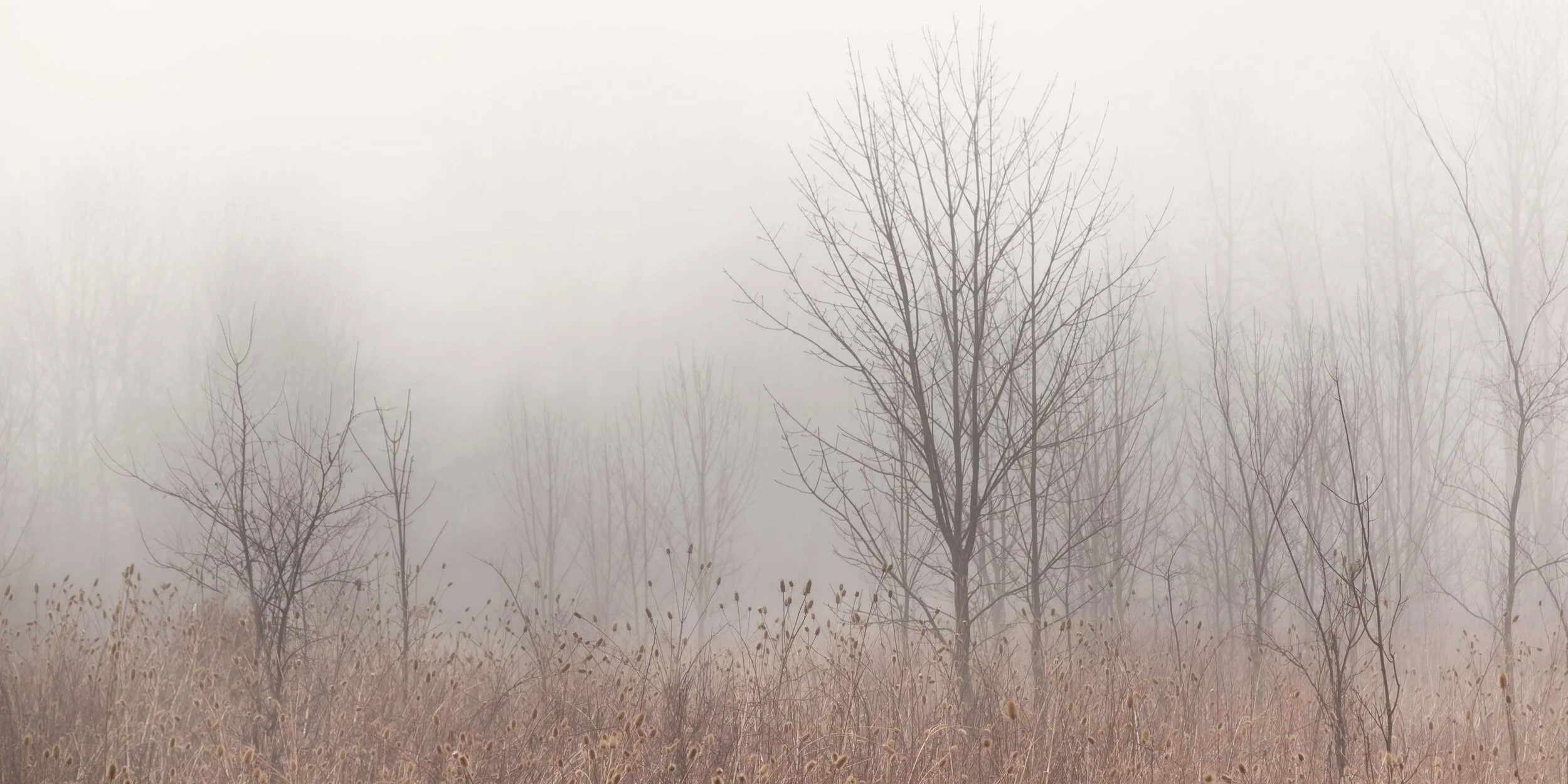 The Sinning Believer's Lament