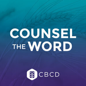 Episode 22 - Biblical Counseling and Medical Care