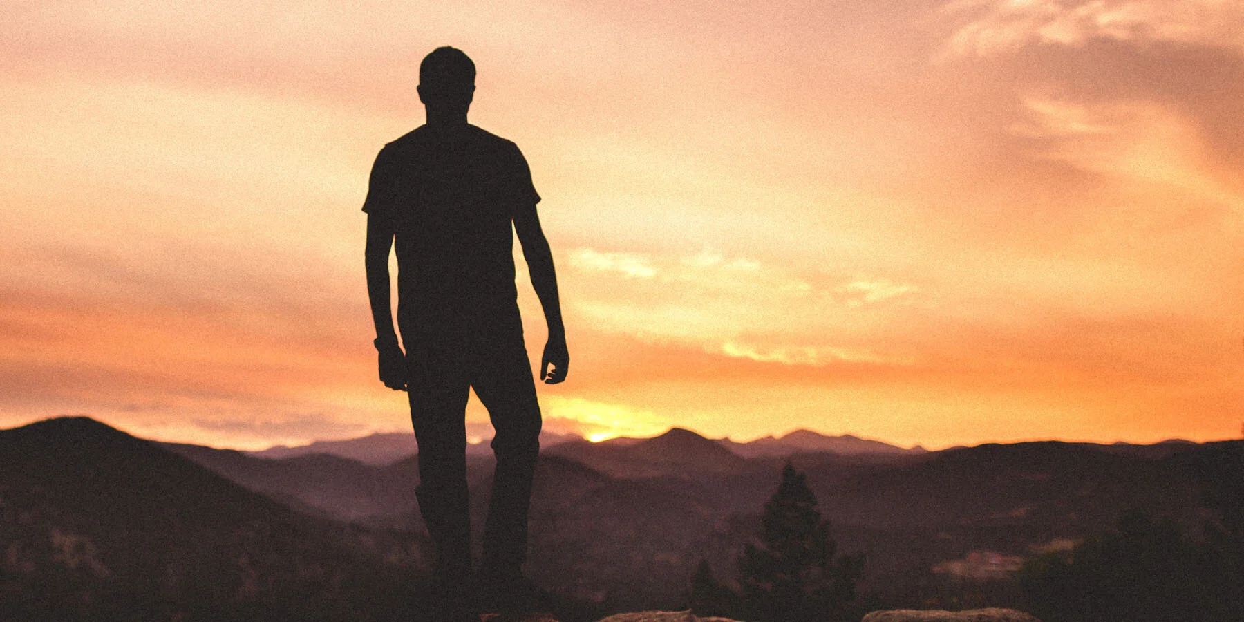 Recognizing Wisdom in Trials