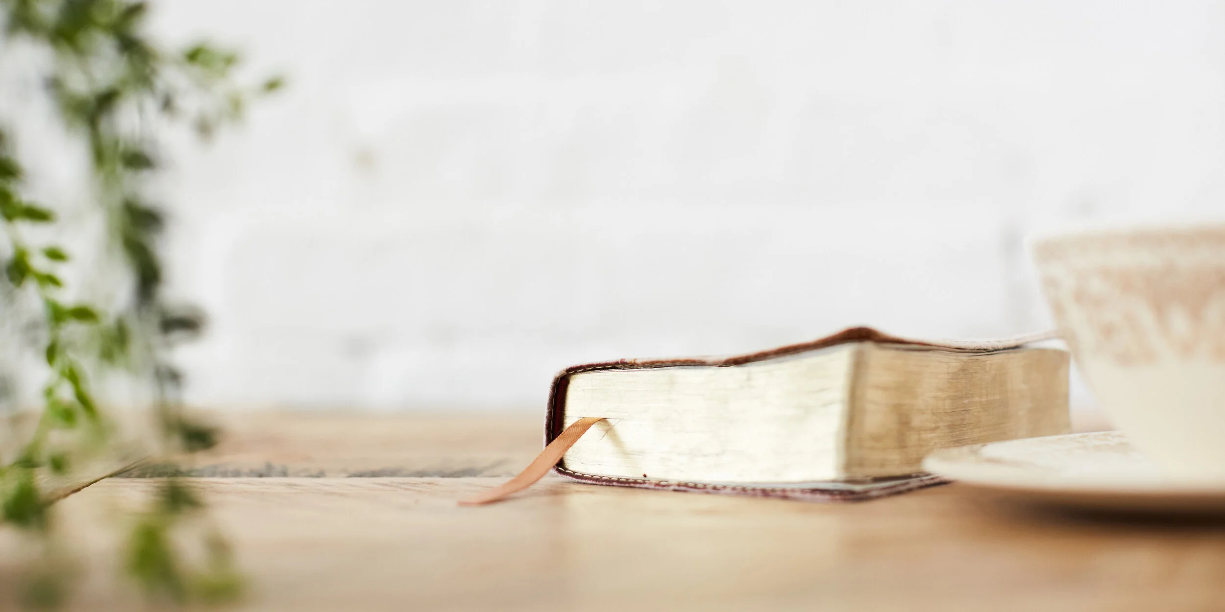 The Means of Wisdom - James 1:19–22