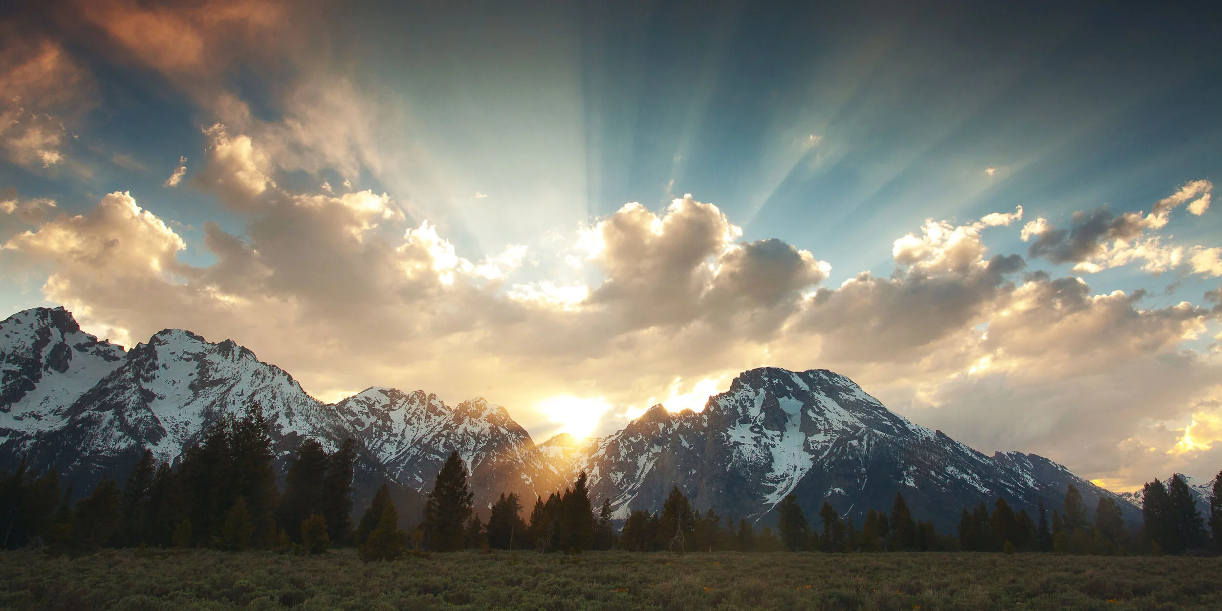 Joy Comes in the Morning