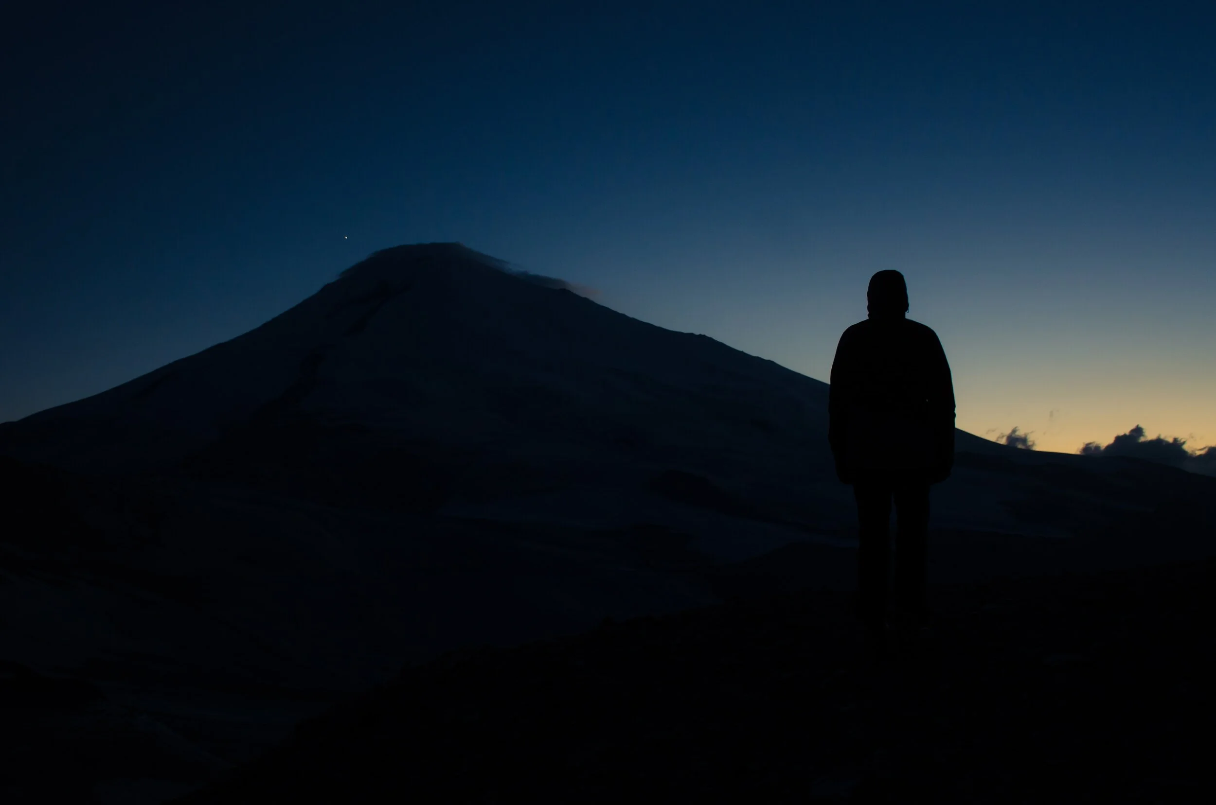 Counseling and the Humanity of Christ