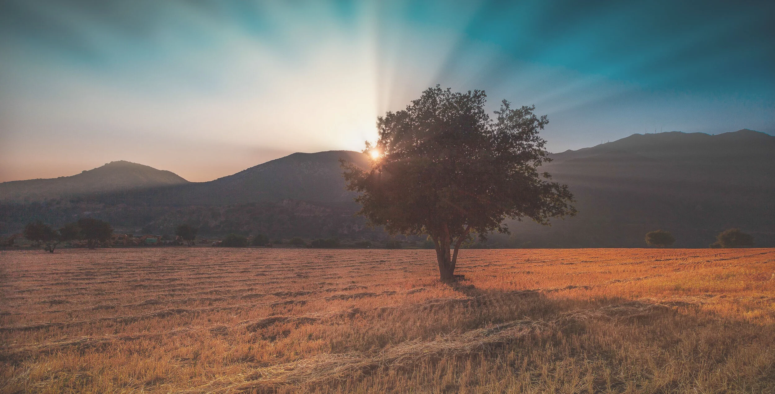 Counseling from Isaiah: A Heart-Deep Hope in Yahweh
