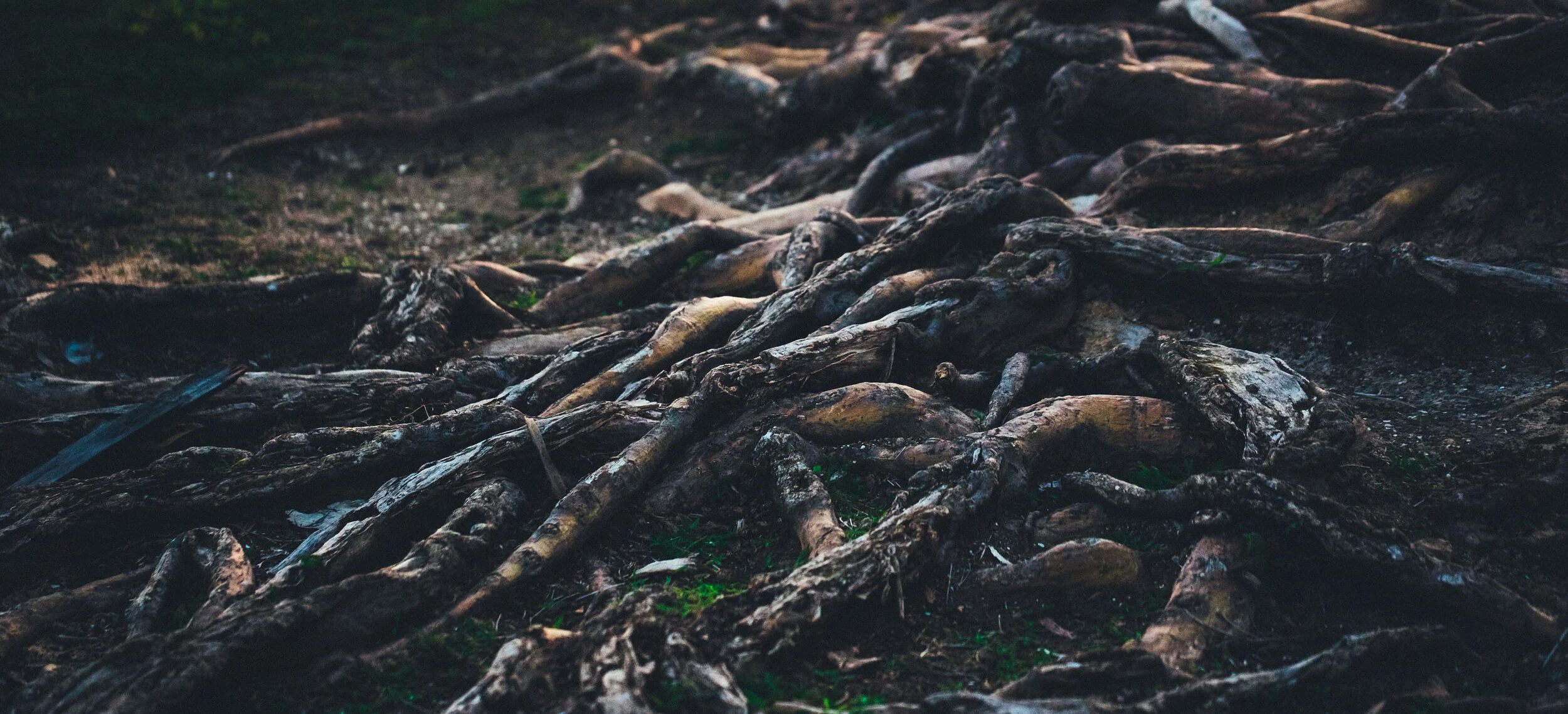 Sin Easily Entangles