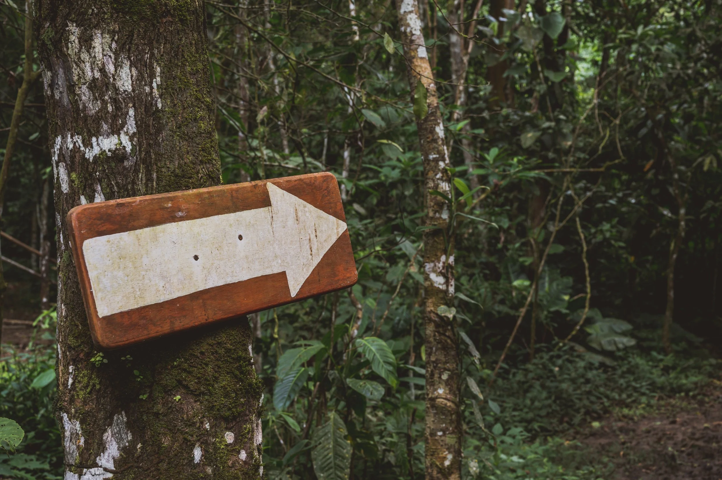 That Sermon Was Really Convicting ... Now What?