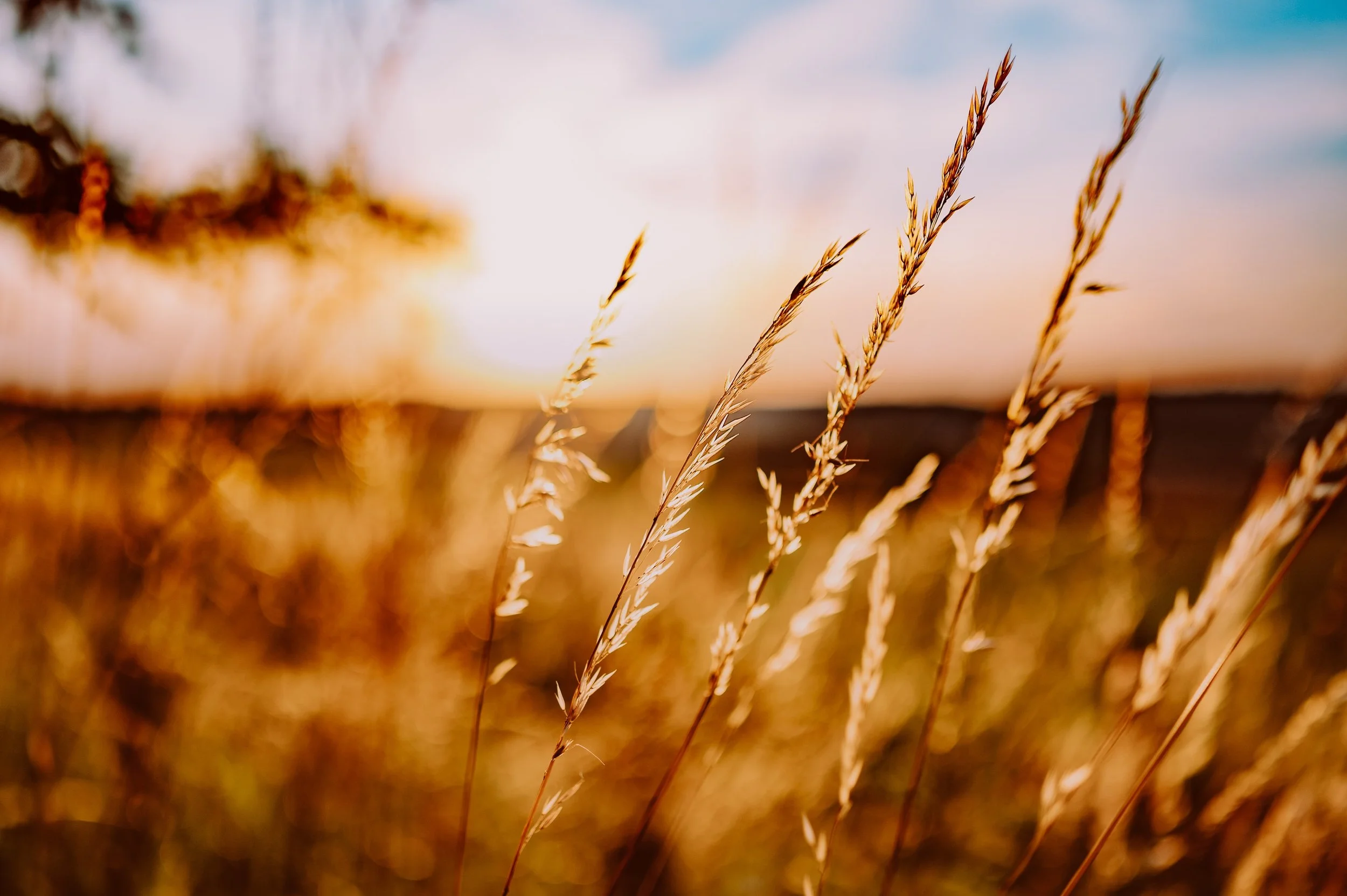 The Counselor's Spiritual Life