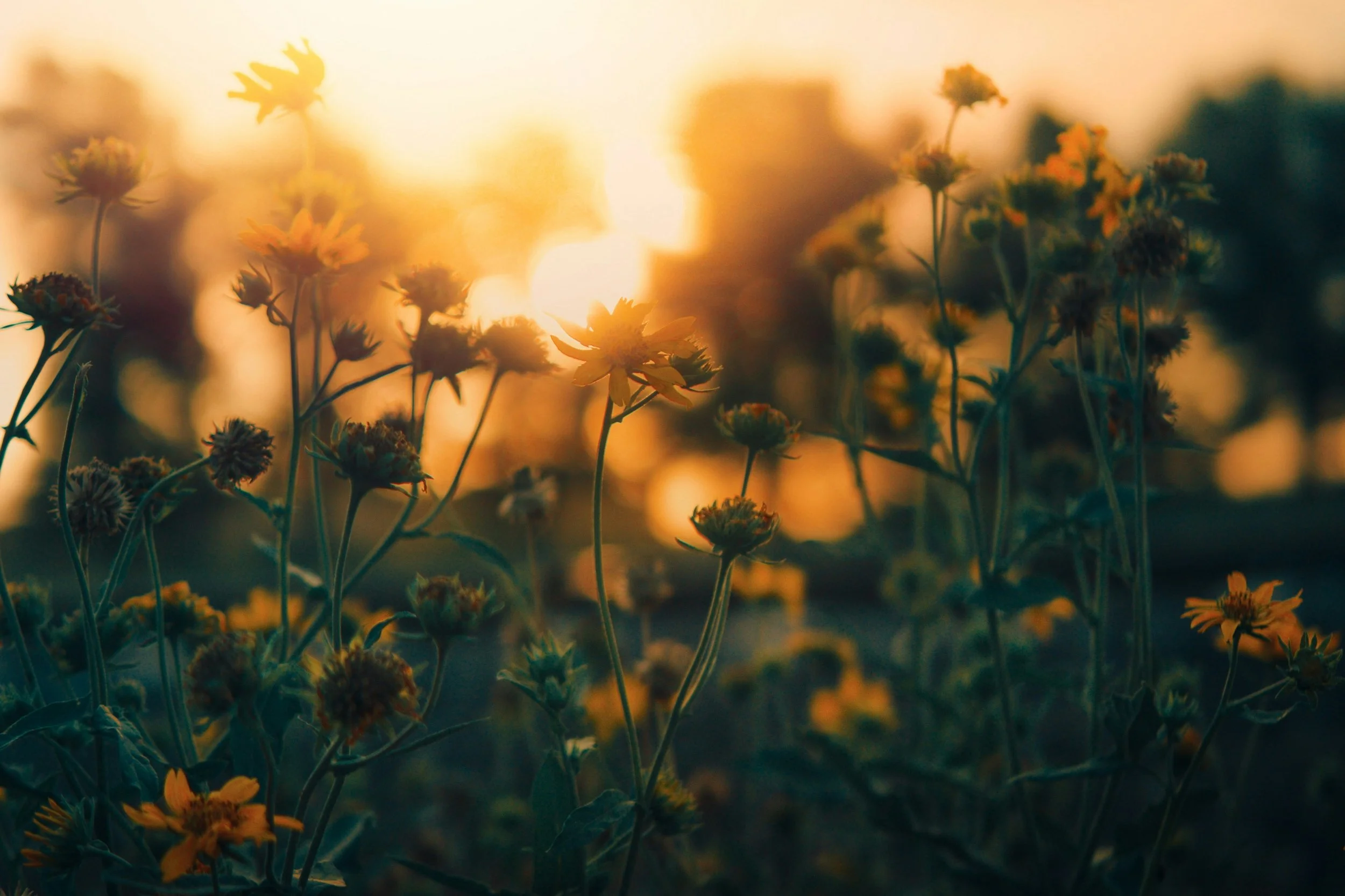 Don’t Be Anxious: Pray Like This