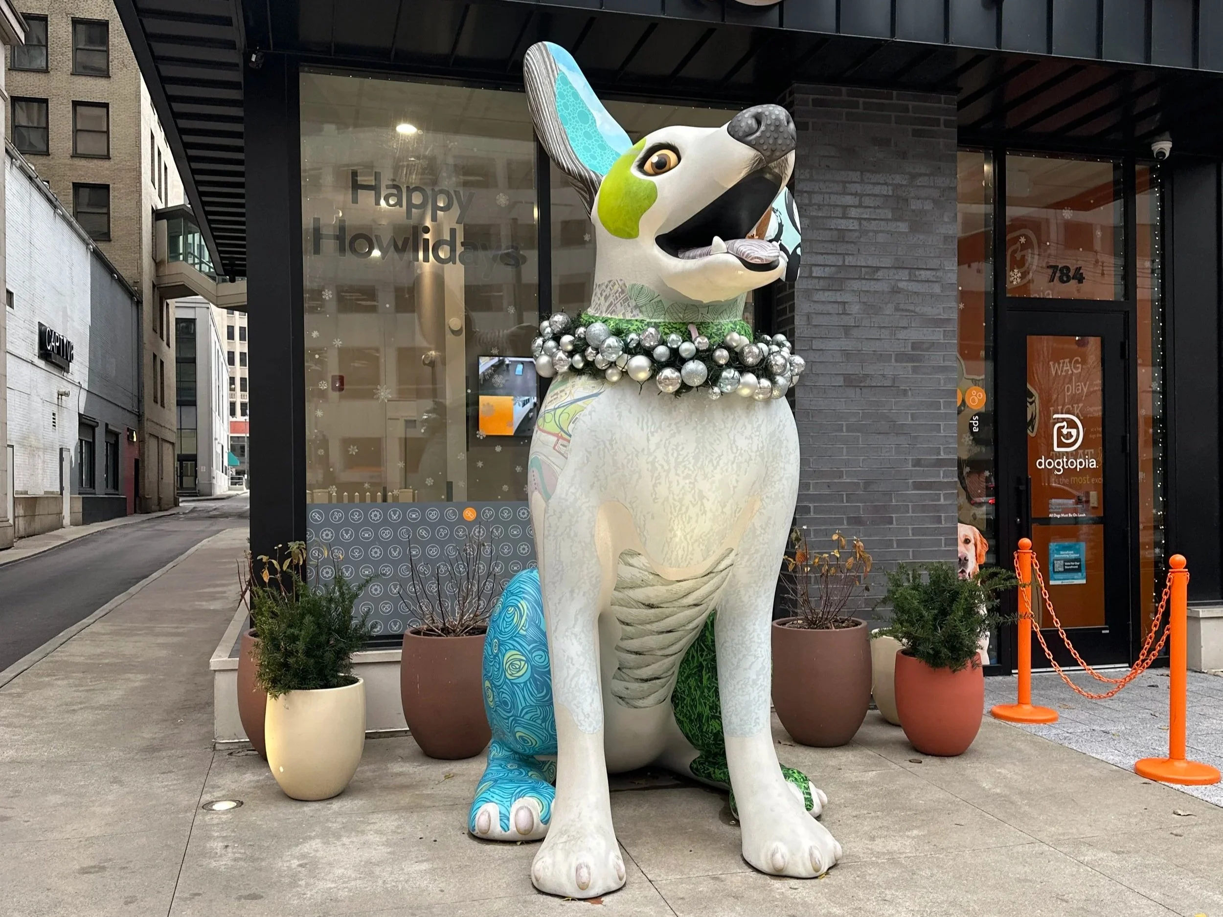 Dogtopia - 784 Euclid Ave