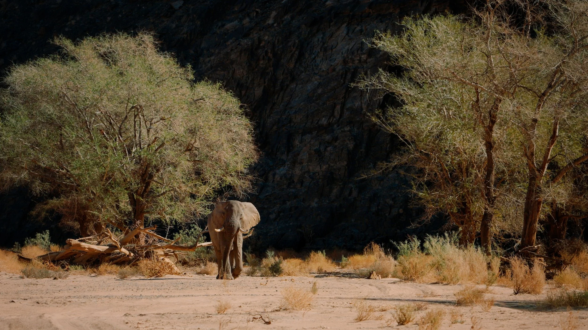 Natural Capital - Namibia