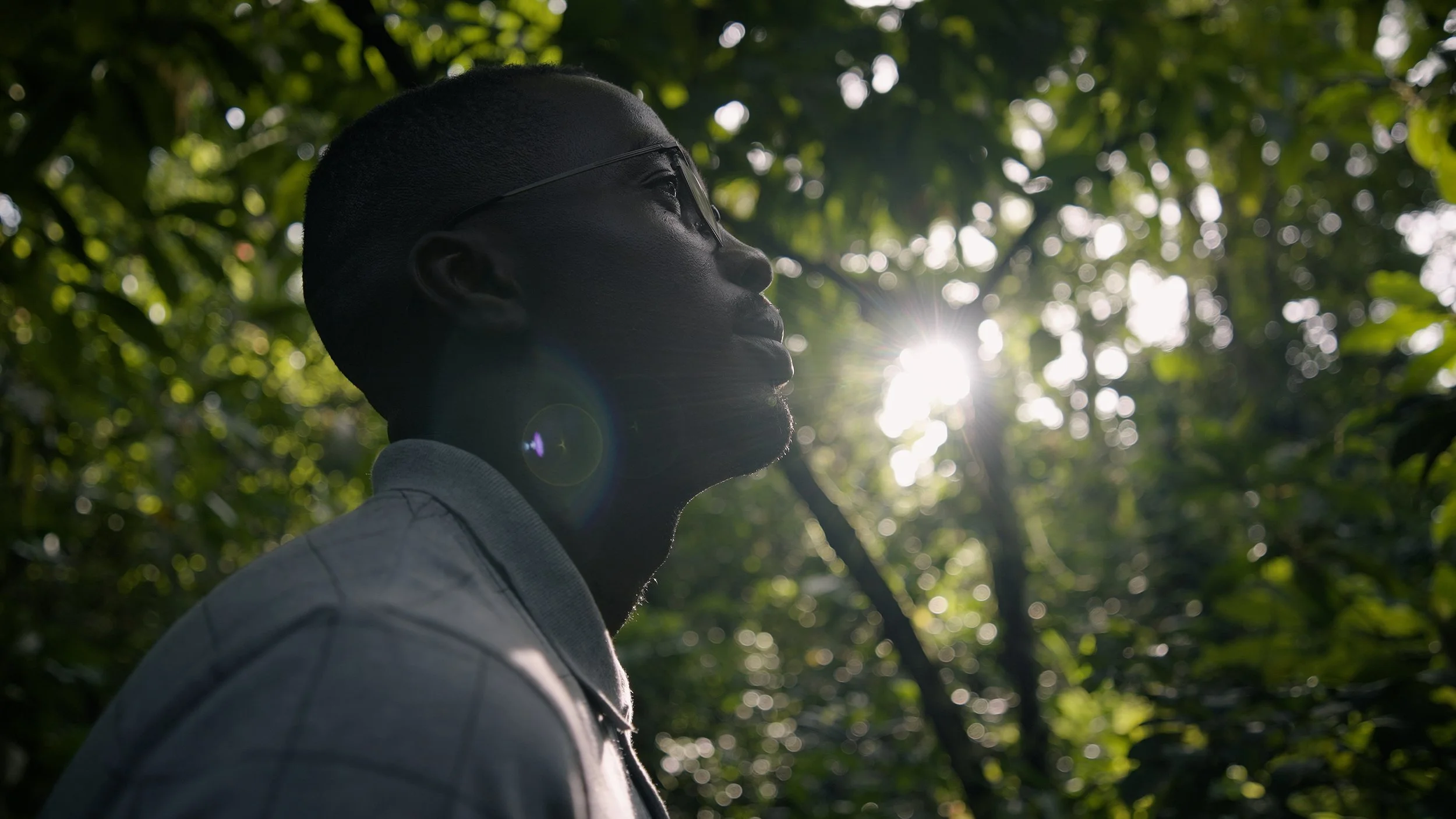 Ludovic Abanda - Nature's Champion