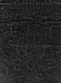 THE BLACK SEAM 8 VERSO VIRGINIA MCARDLE 2022 .jpg