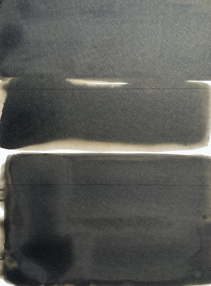 THE COLOUR OF MUD  * VIRGINIA MCARDLE .jpg