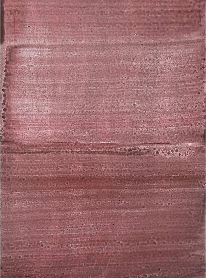RARE EARTH,THE COLOUR OF DUST  Virginia McArdle.jpg