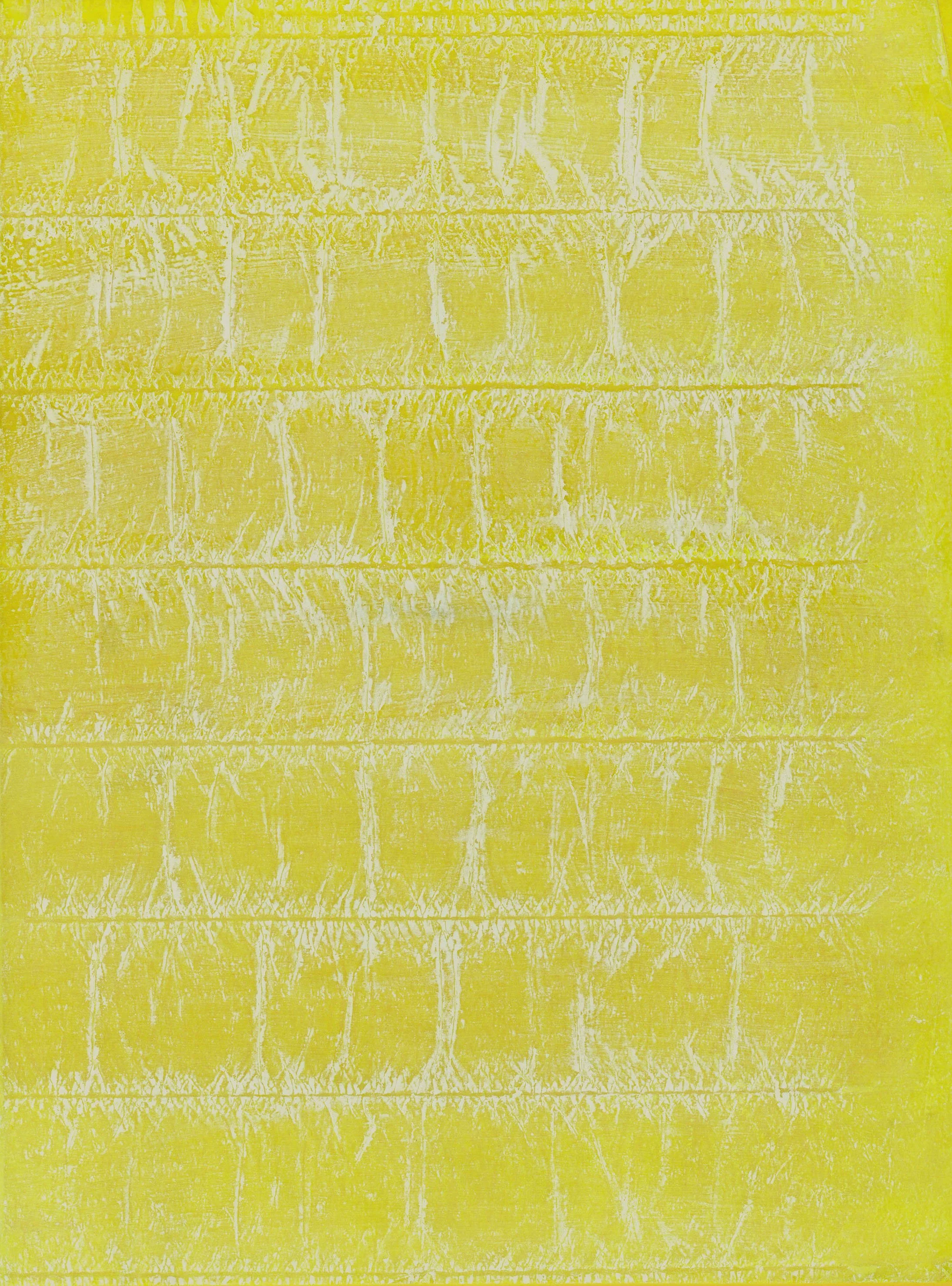 THE TRAGEDY OF LOSS_ACID RAIN VIRGINIA MCARDLE 2024.jpg