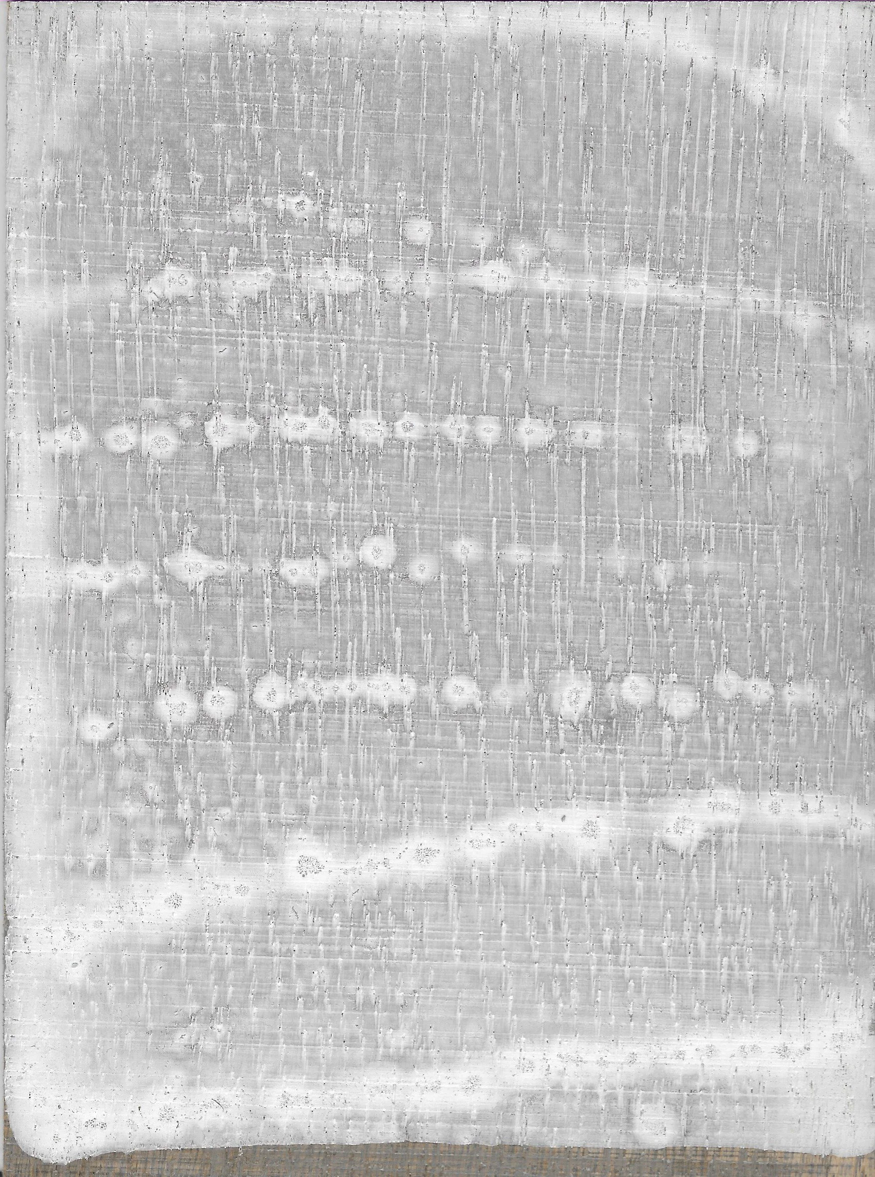 CARBON WHITE 01 VIRGINIA MCARDLE.jpeg