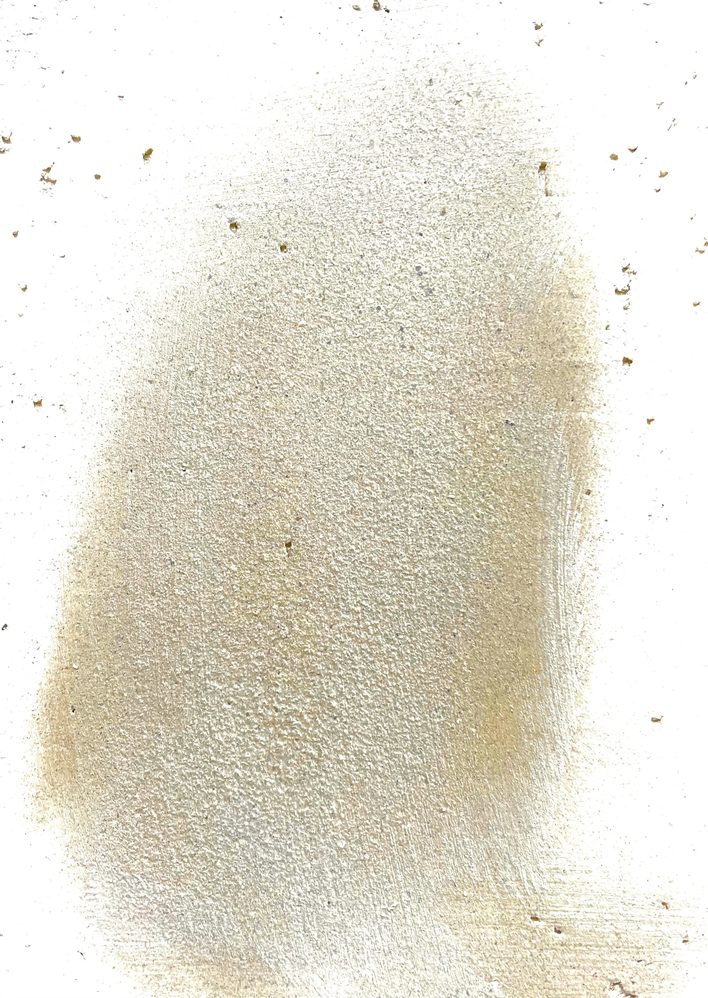 VIRGINIA MCARDLE.jpeg