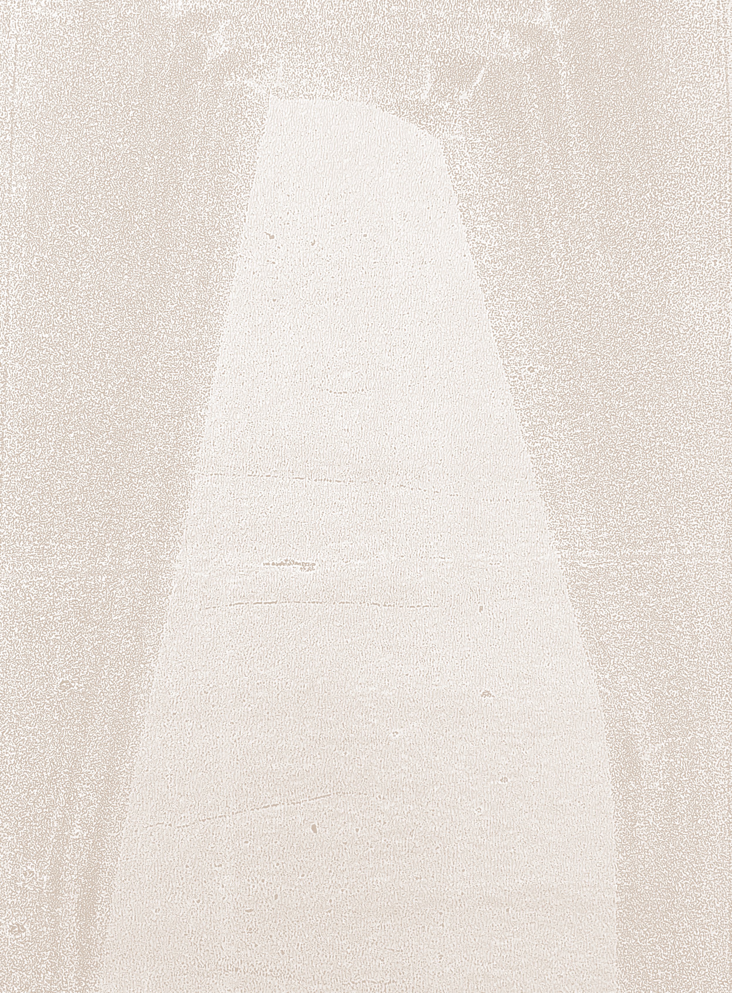 NEW CARBON WHITE VIRGINIA MCARDLE 02.jpg