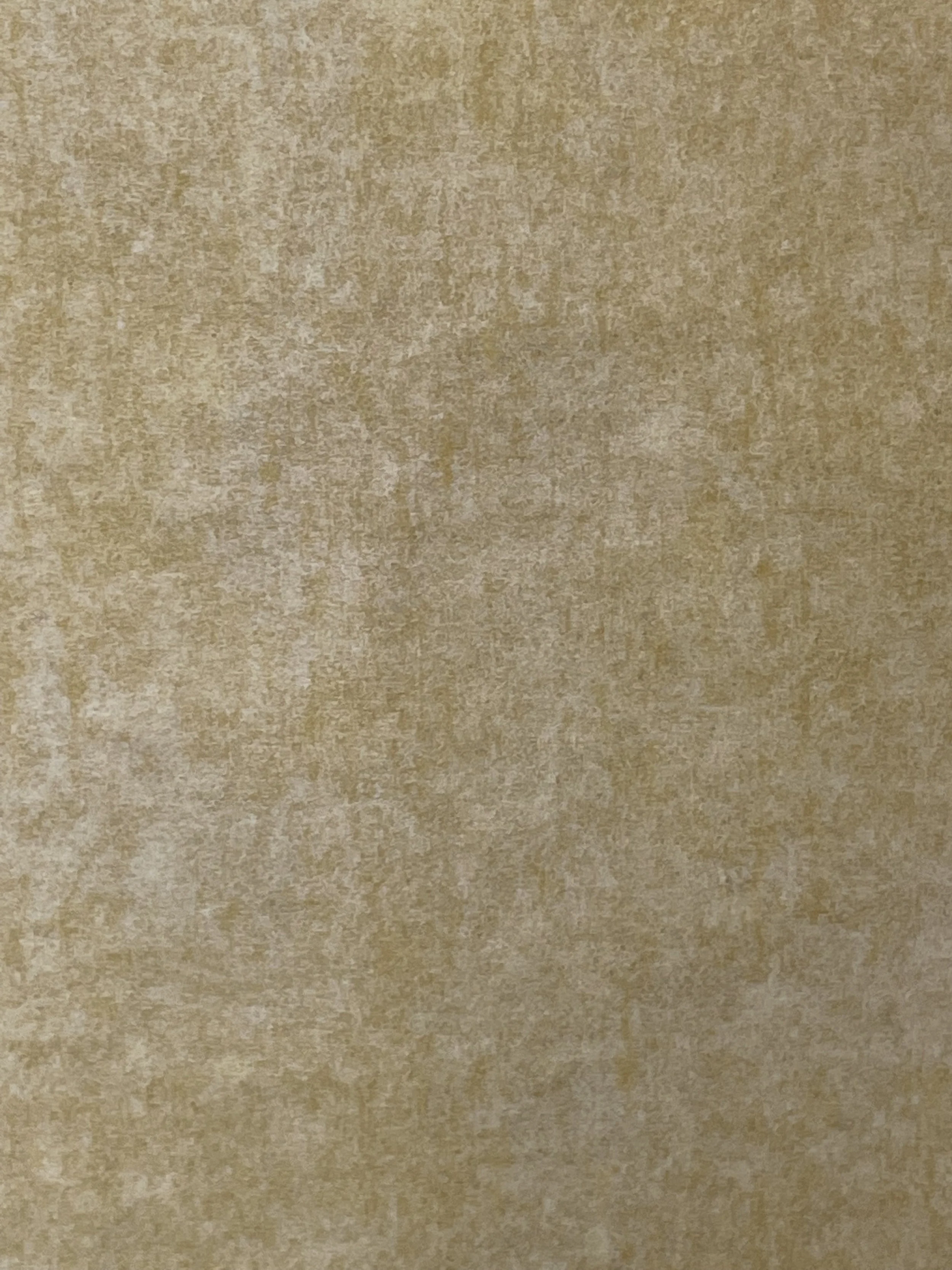 MUSTARD VIRGINIA MCARDLE.jpeg