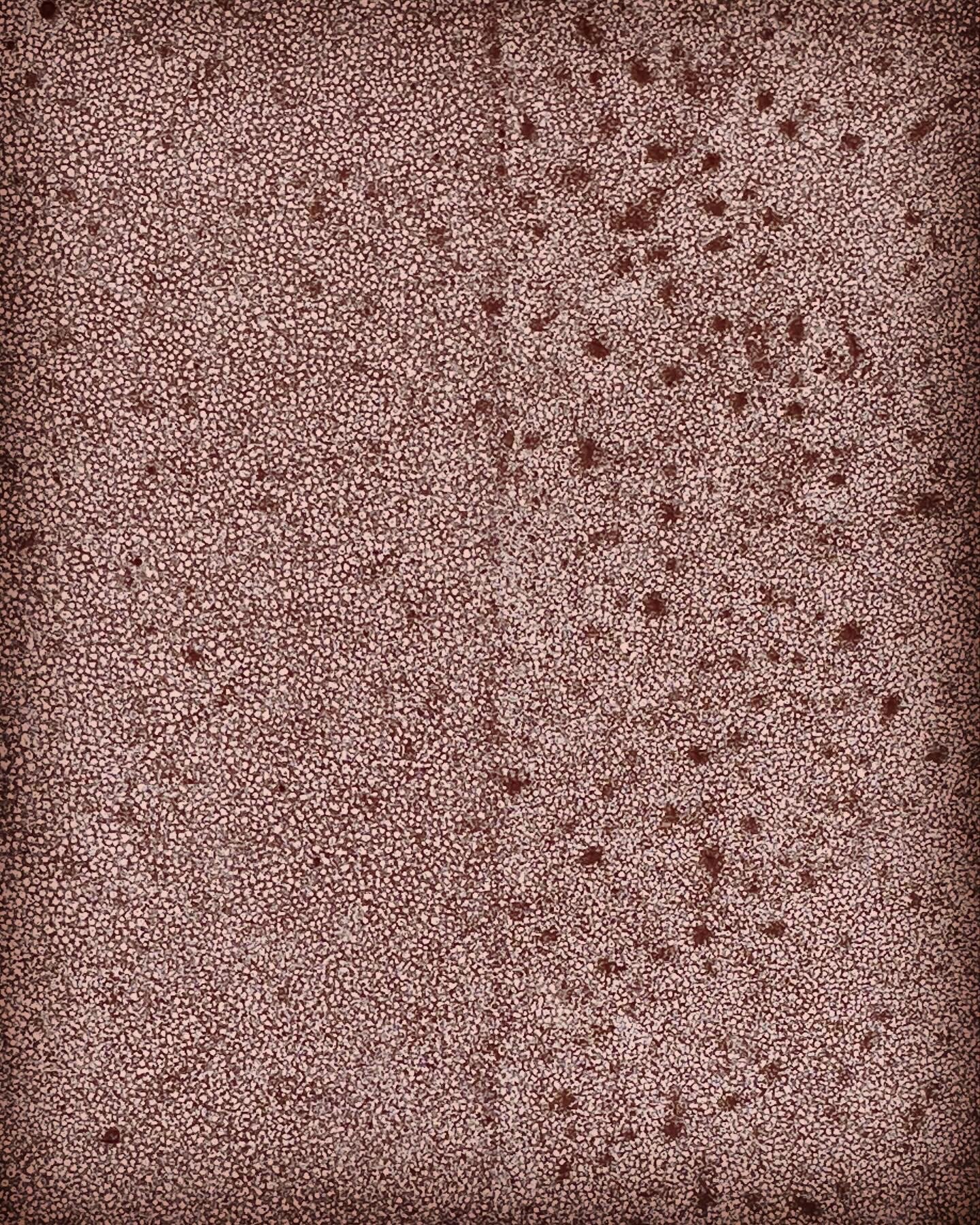 COLOUR OF BLOOD VIRGINIA MCARDLE.jpg