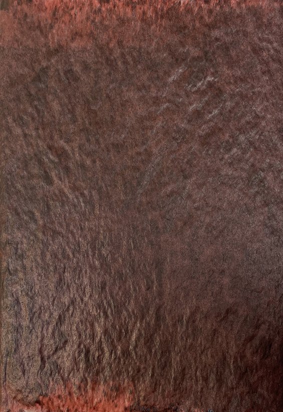 The Colour of Dust _Virginia McArdle copy.jpg