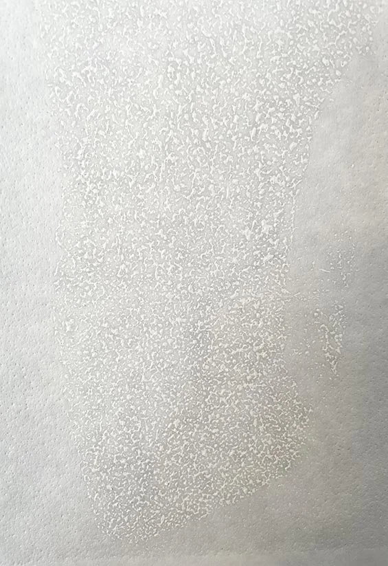 Phospherous No 2_Virginia McArdle.jpg