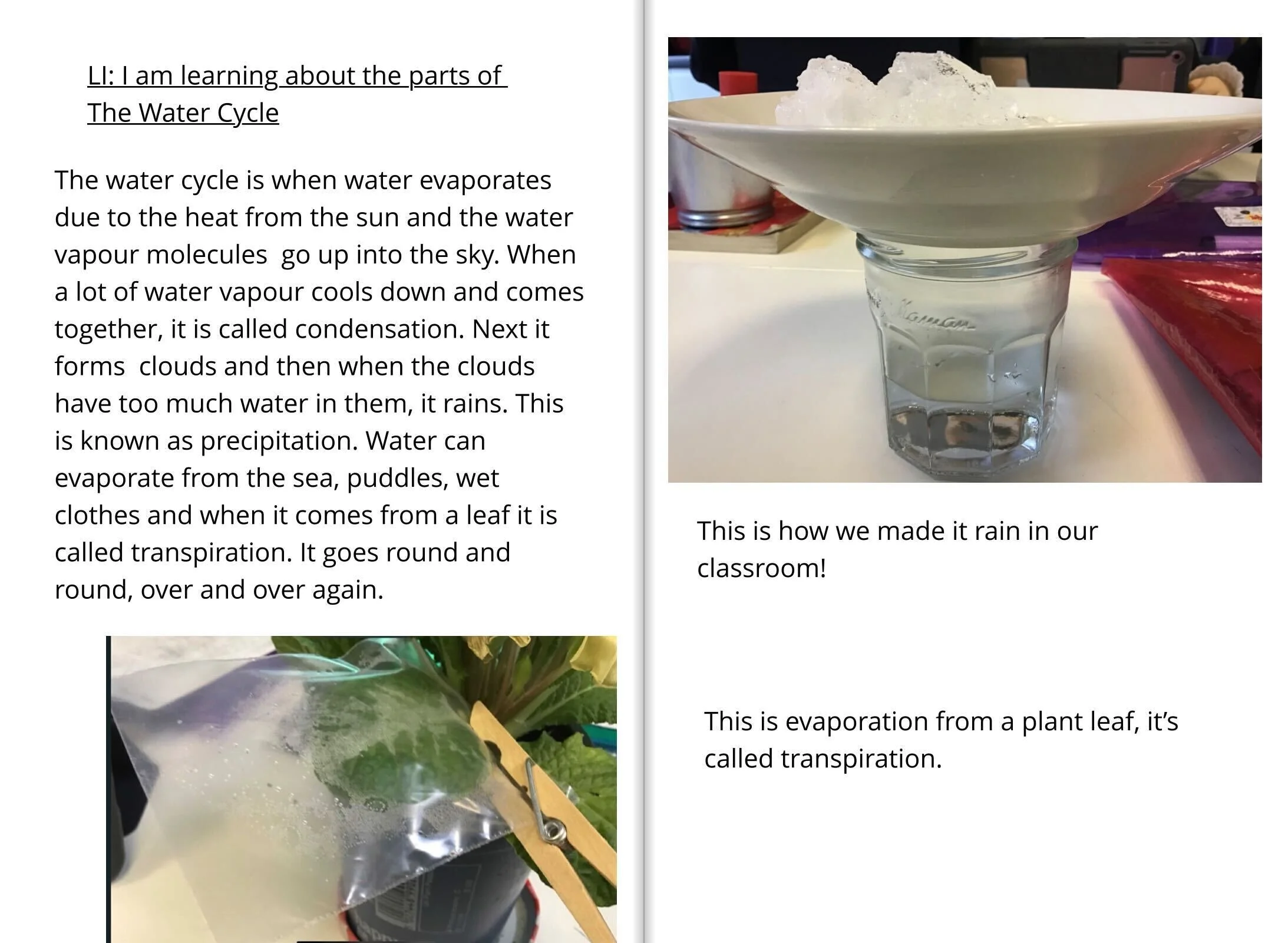 The Water Cycle in Year 4 — Heronsgate Primary School
