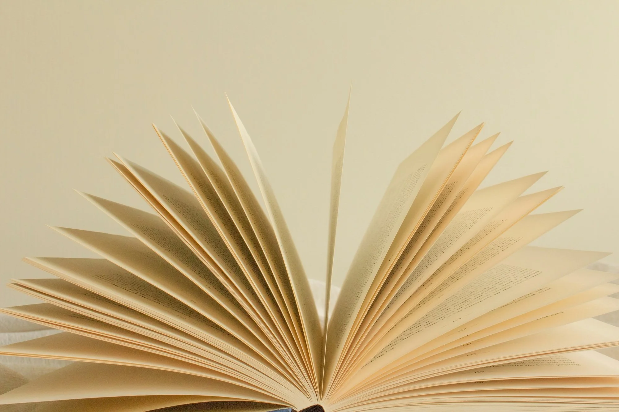 Open book with pages fanned out, viewed from above against a plain background.