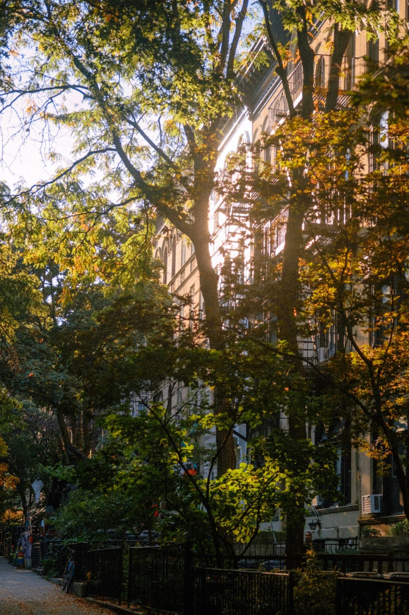 Sunlight filtering through tree branches onto a sidewalk and apartment building in an urban neighborhood.
