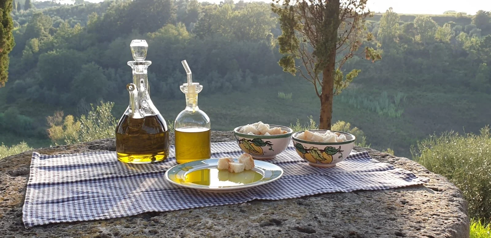 Villa Delia Oil tasting