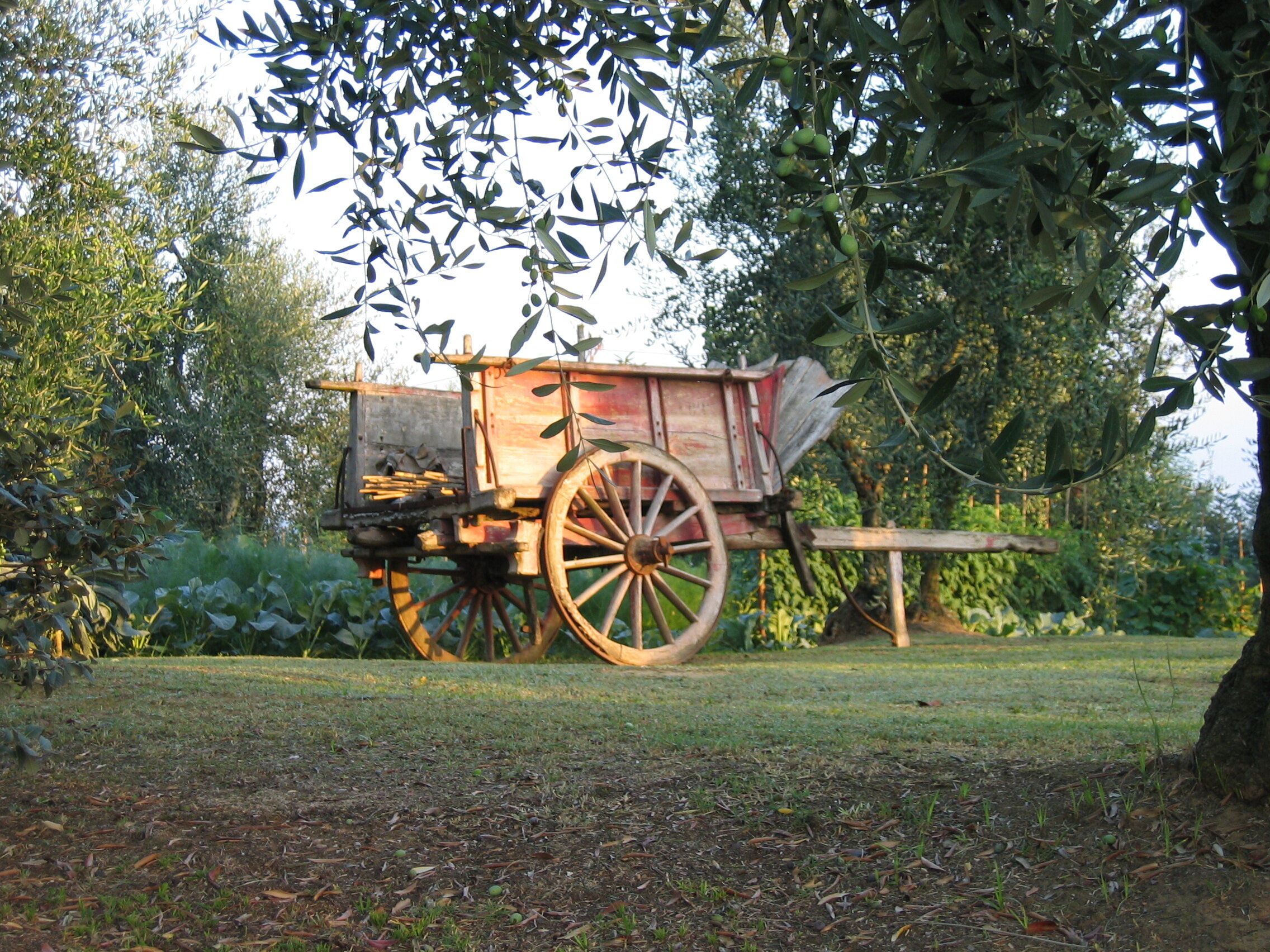 Scuola di cucina 006.jpg